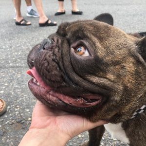 Meet your Posher, Analeea